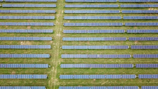 Livingston Solar Image 2